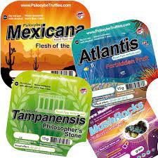 Classic Magic Truffles Value pack