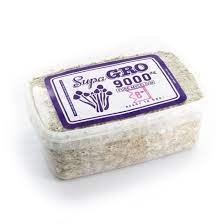 SUPA GRO KIT 100% 'B+'