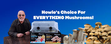 Magic Mushroom Grow Kits USA