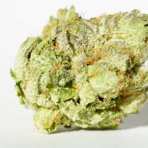 Buy White Death Strain (AAAA+) Online